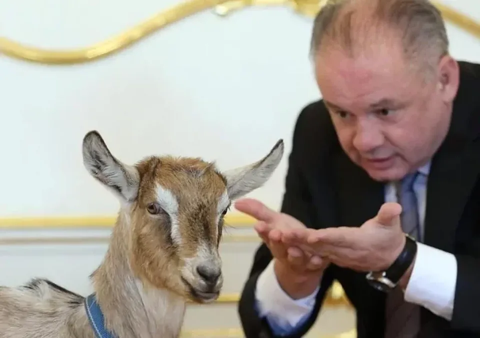 Read more about the article Toto mnohých Slovákov vytočí: Andrej Kiska vyzýva ľudí, aby prišli voliť