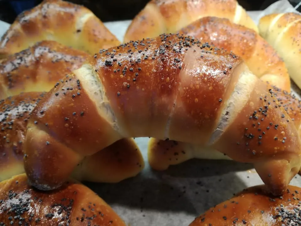 Read more about the article Kysnuté lúpačky – makovky